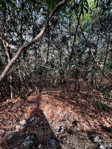 Lot 38 High Peak Road