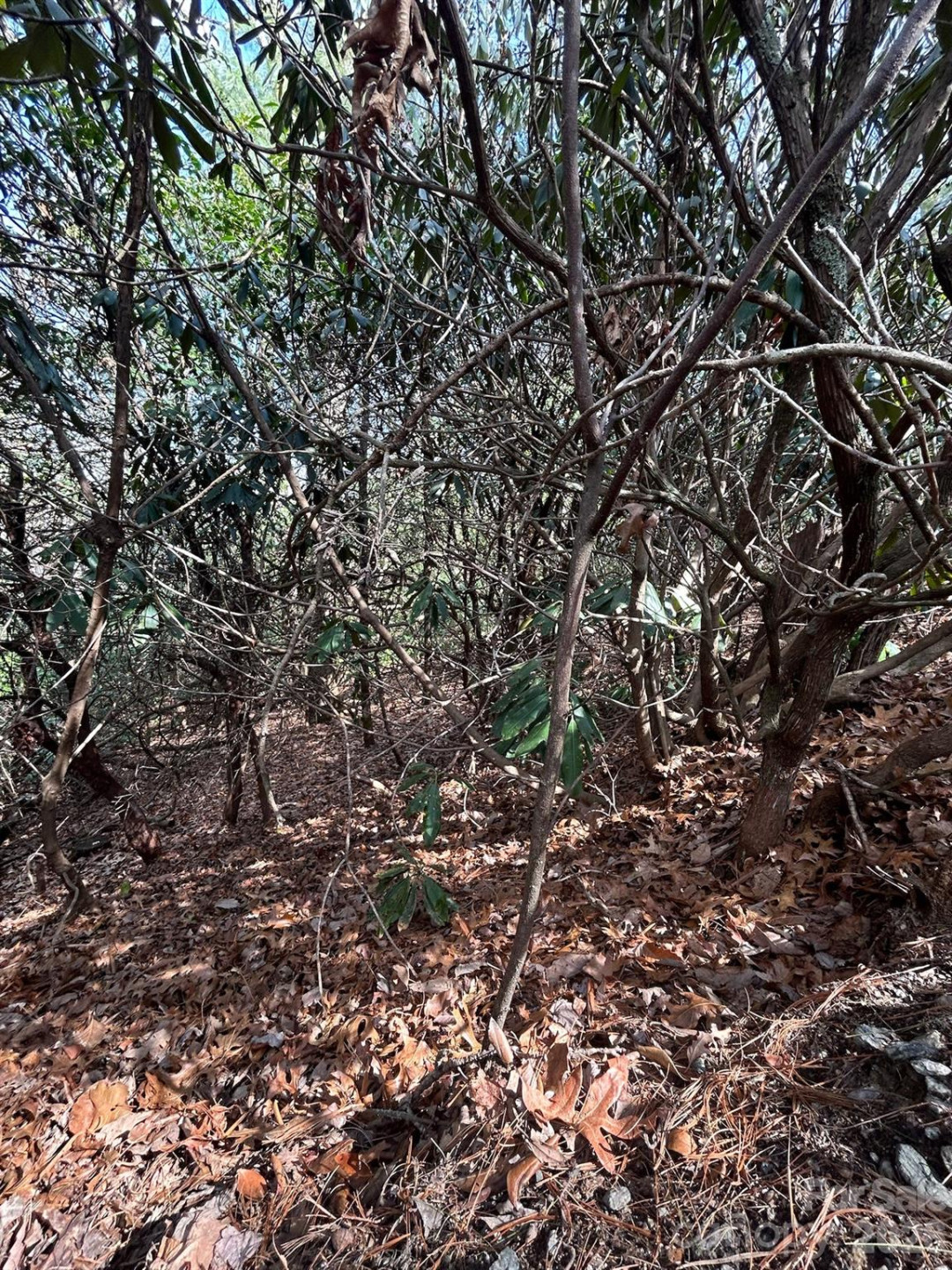 Lot 38 High Peak Road - Photo 2