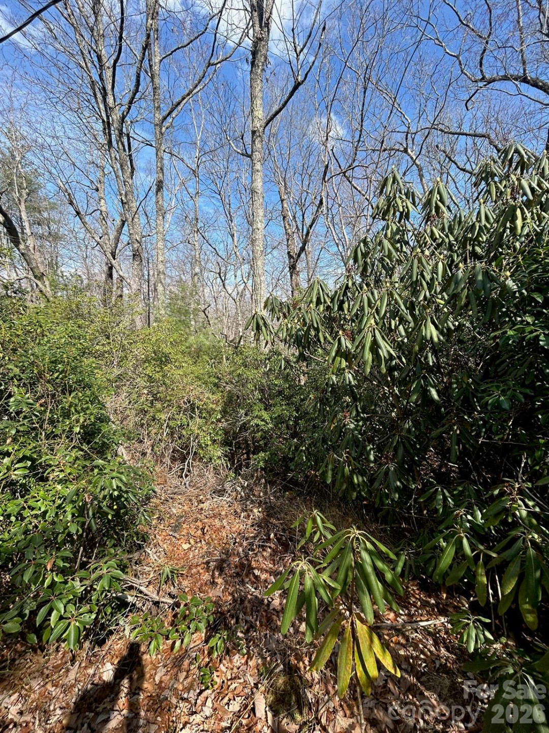 Lot 38 High Peak Road - Photo 4