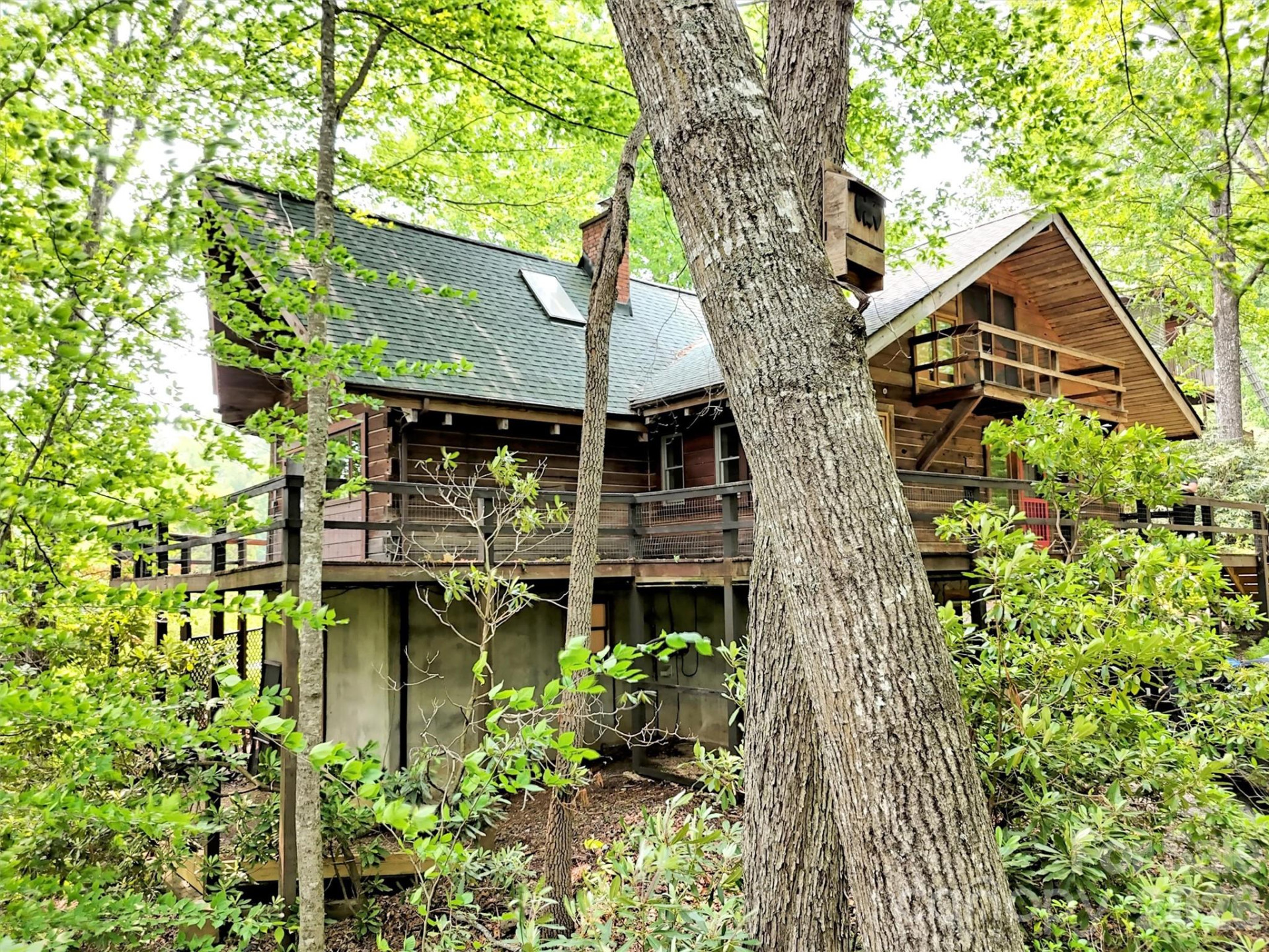 429 Biodome Drive - Photo 2