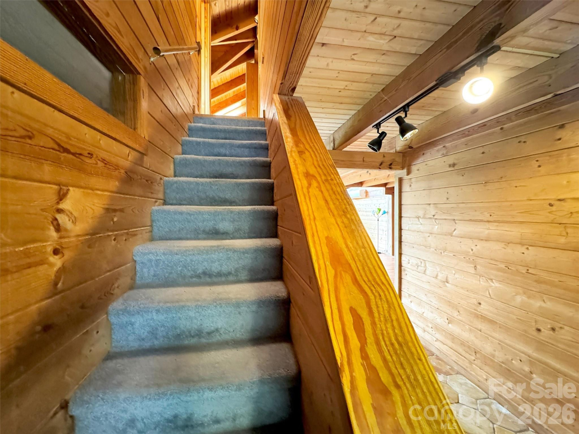 429 Biodome Drive - Photo 22