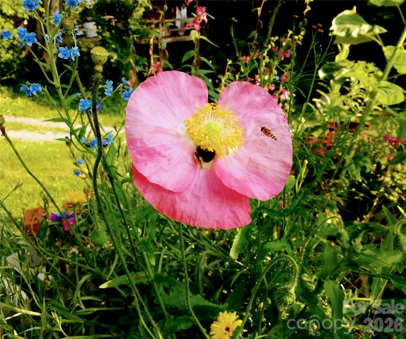 429 Biodome Drive - Photo 37