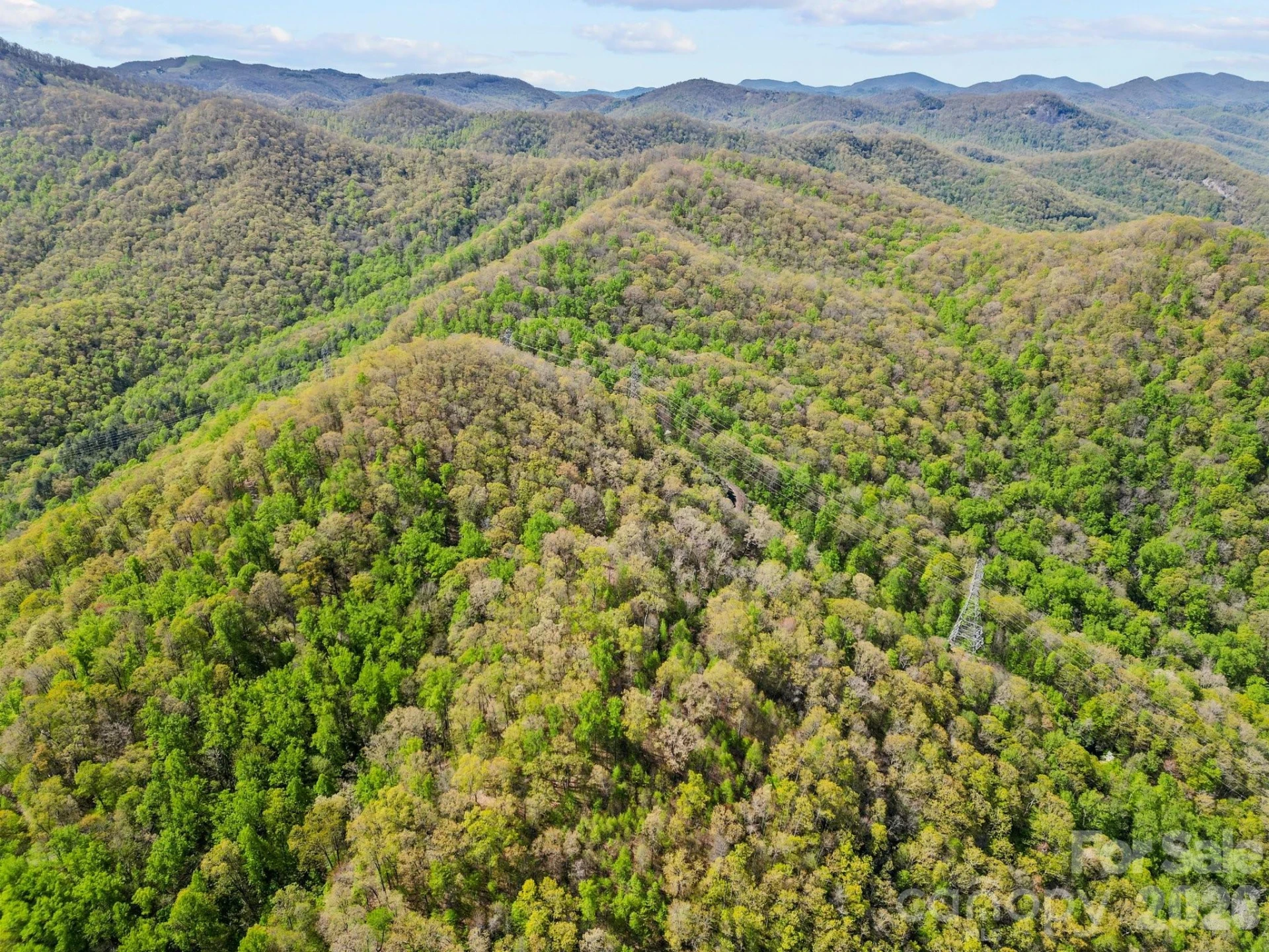 0000 Oat Field Road #5B - Photo 11