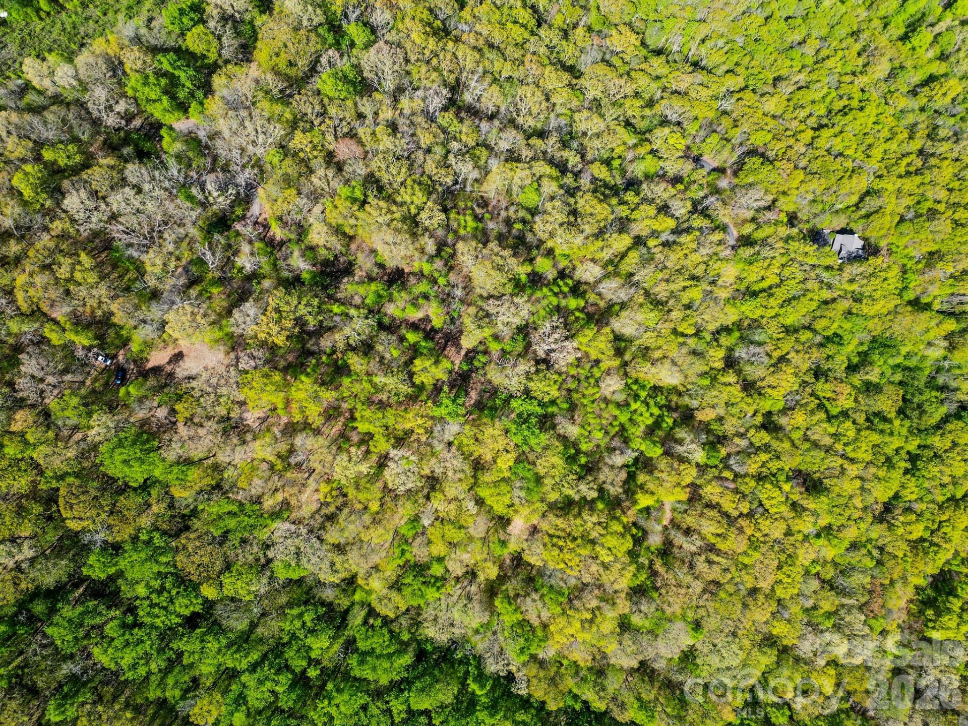 0000 Oat Field Road #5B - Photo 13