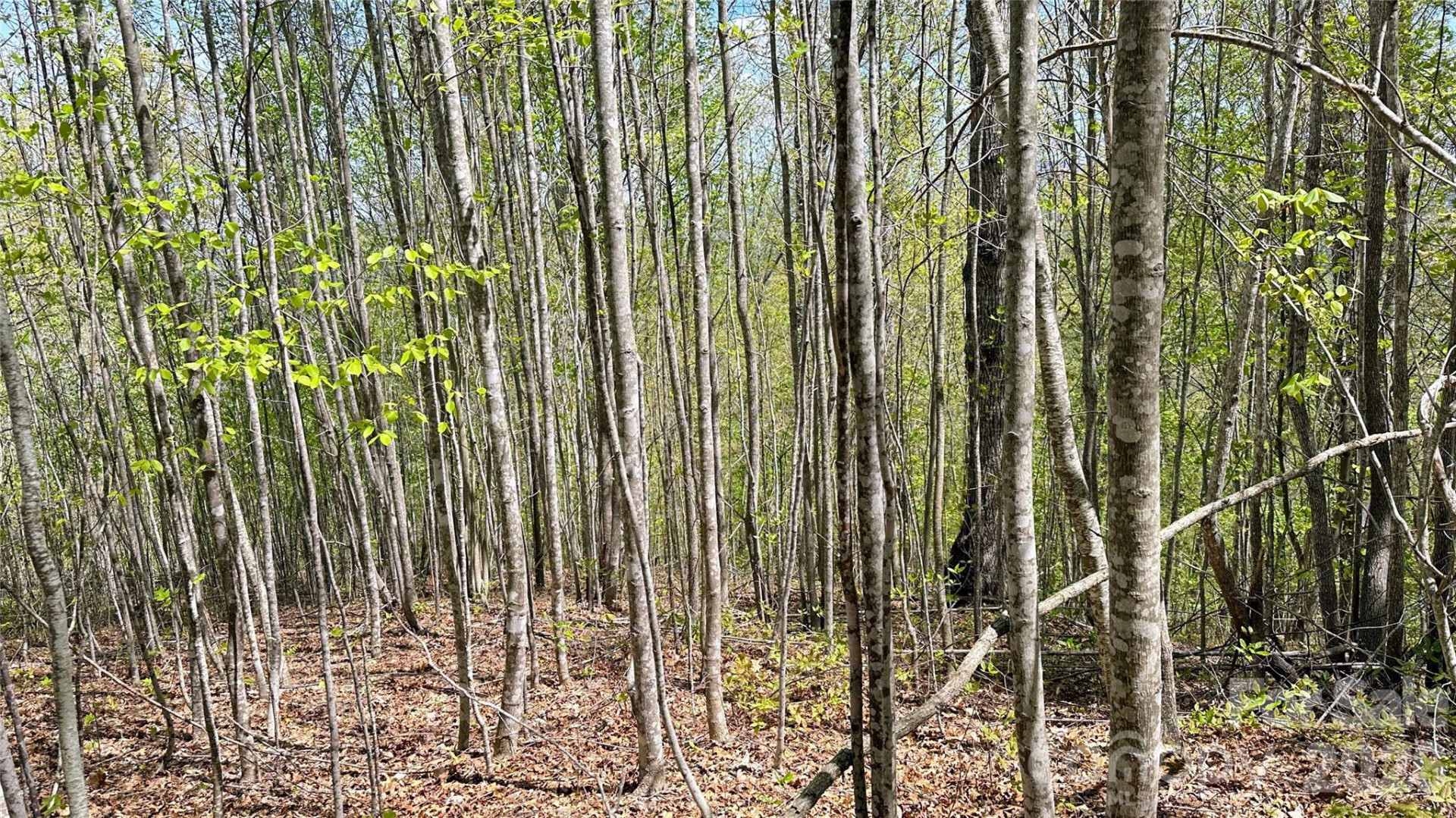 0000 Oat Field Road #5B - Photo 4