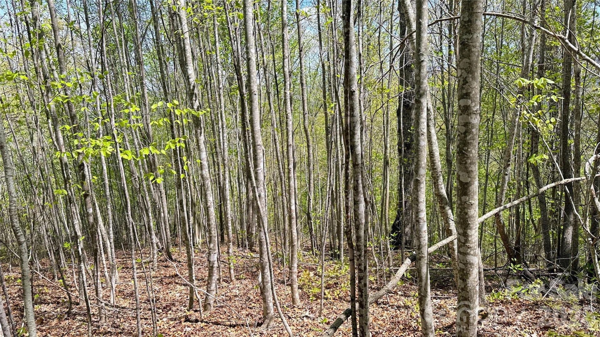 0000 Oat Field Road #5B - Photo 4