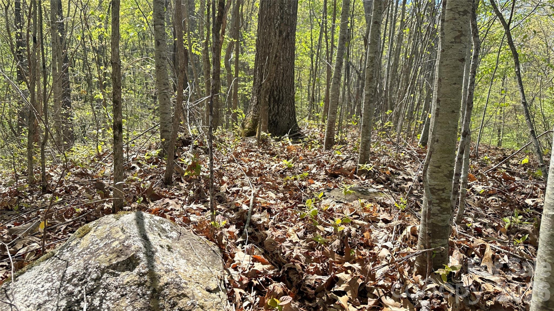 0000 Oat Field Road #5B - Photo 5