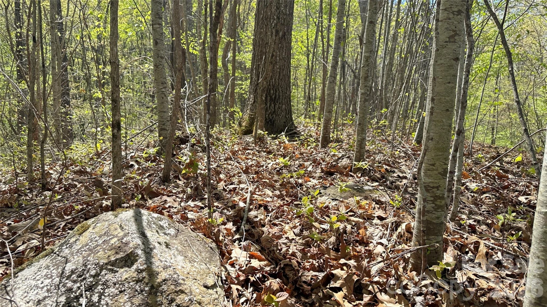 0000 Oat Field Road #5B - Photo 5