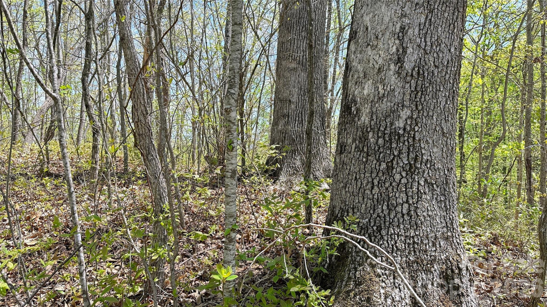 0000 Oat Field Road #5B - Photo 6