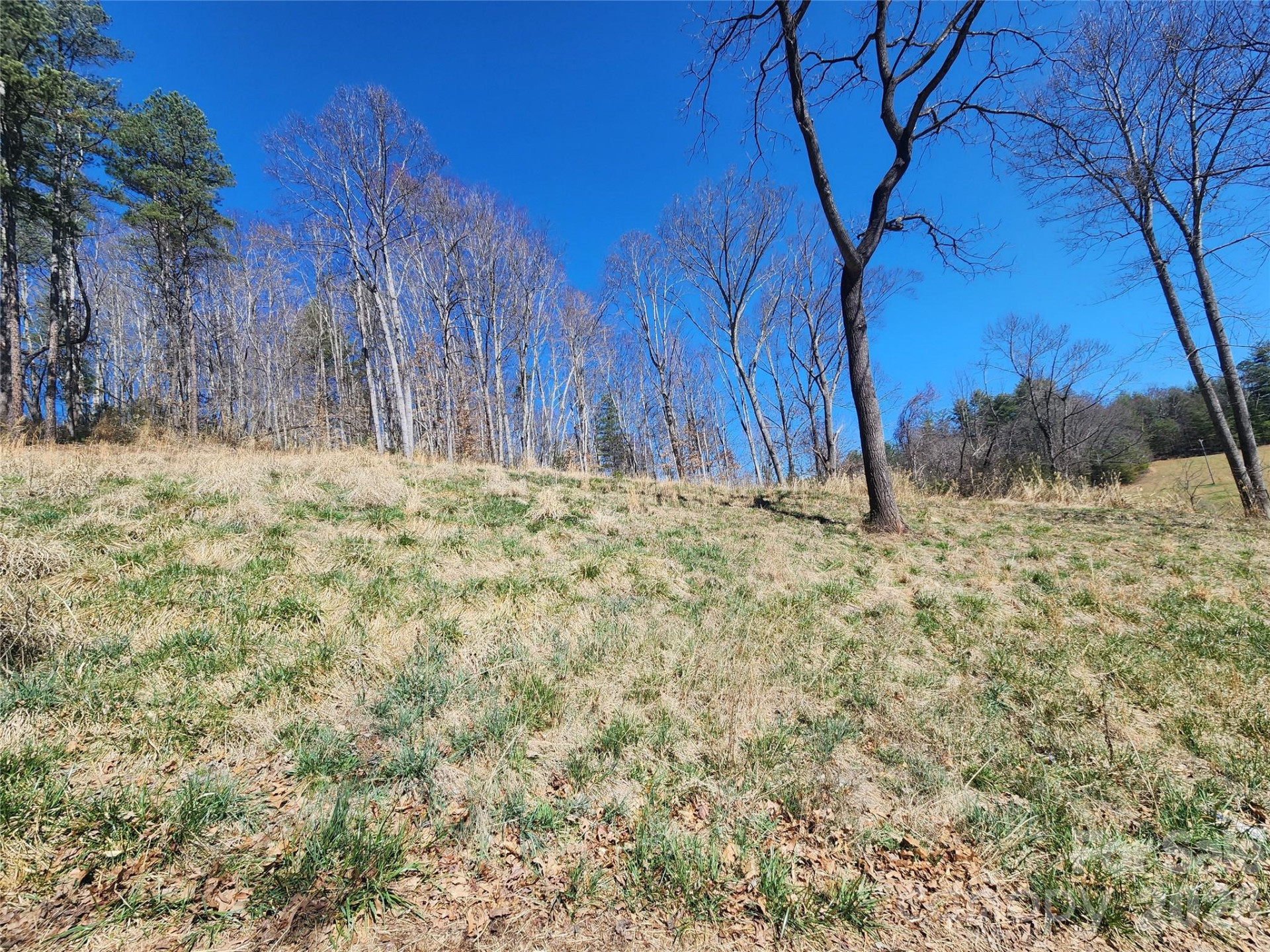 9999 Country Drive - Photo 3