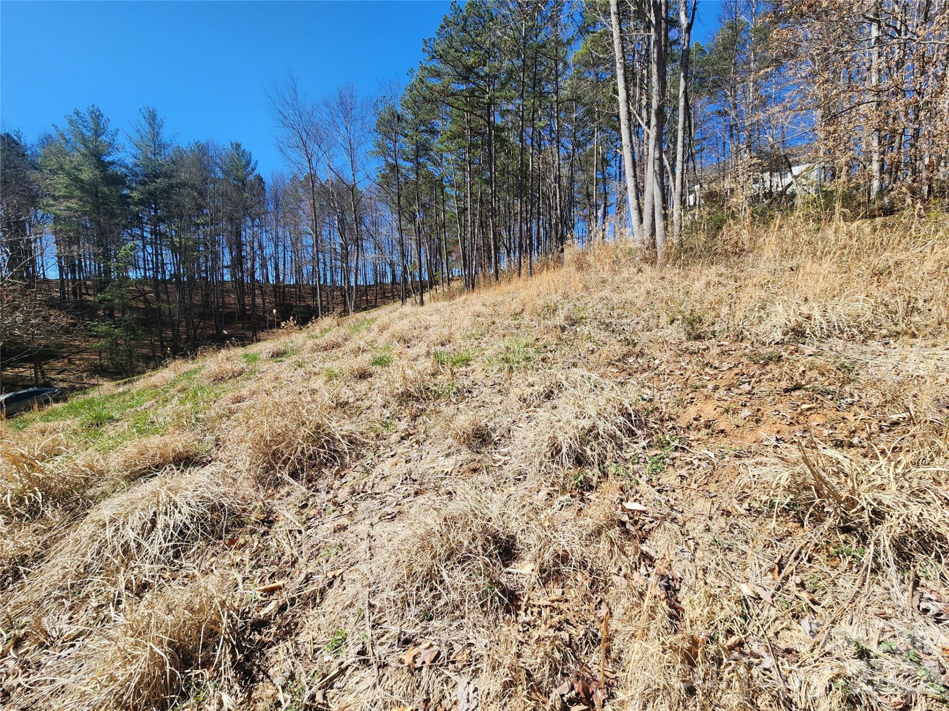 9999 Country Drive - Photo 5