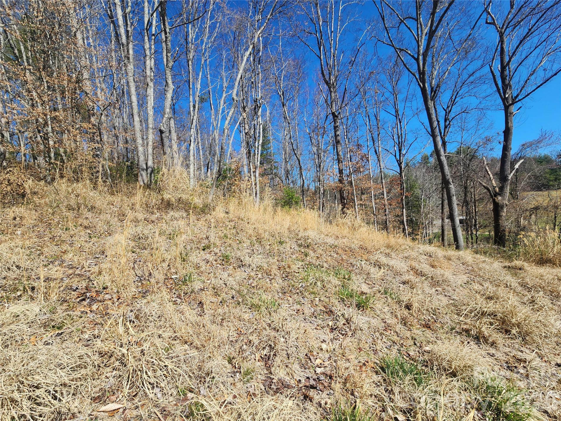 9999 Country Drive - Photo 6