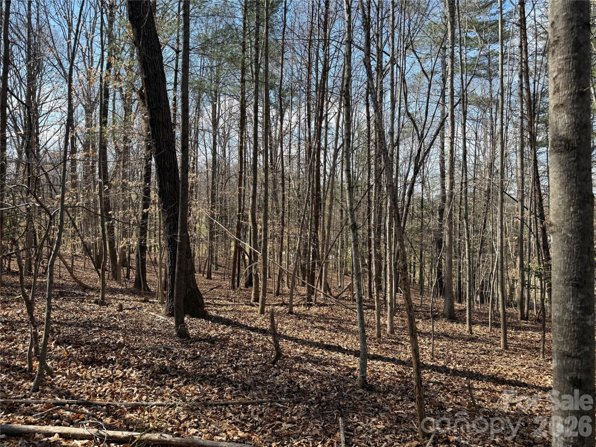 0 Conley Road - Photo 3