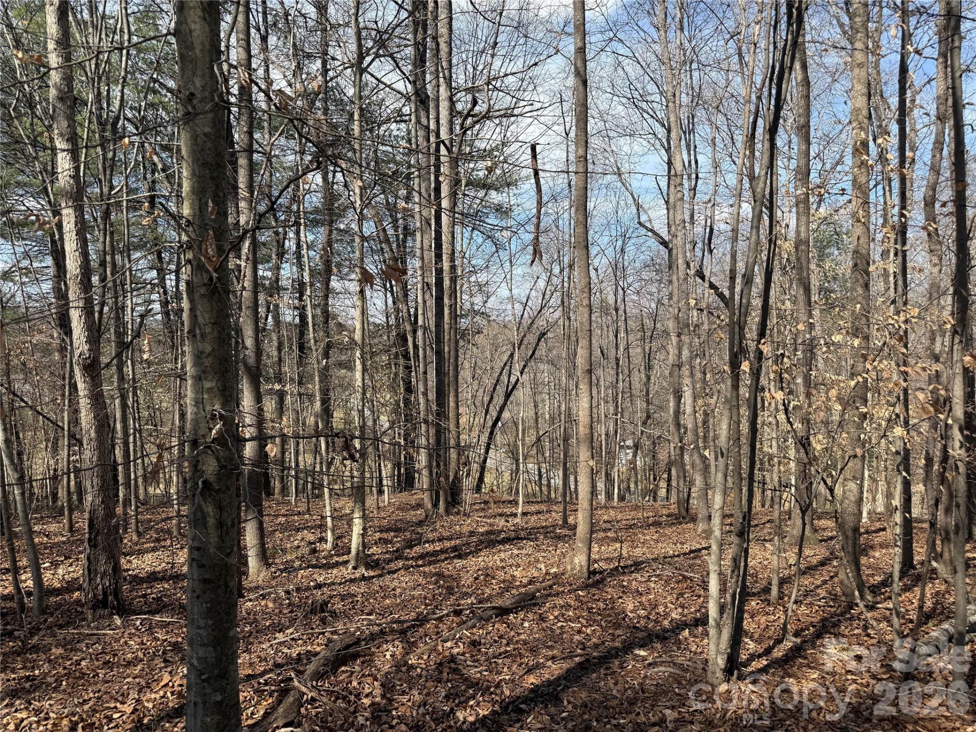 0 Conley Road - Photo 4