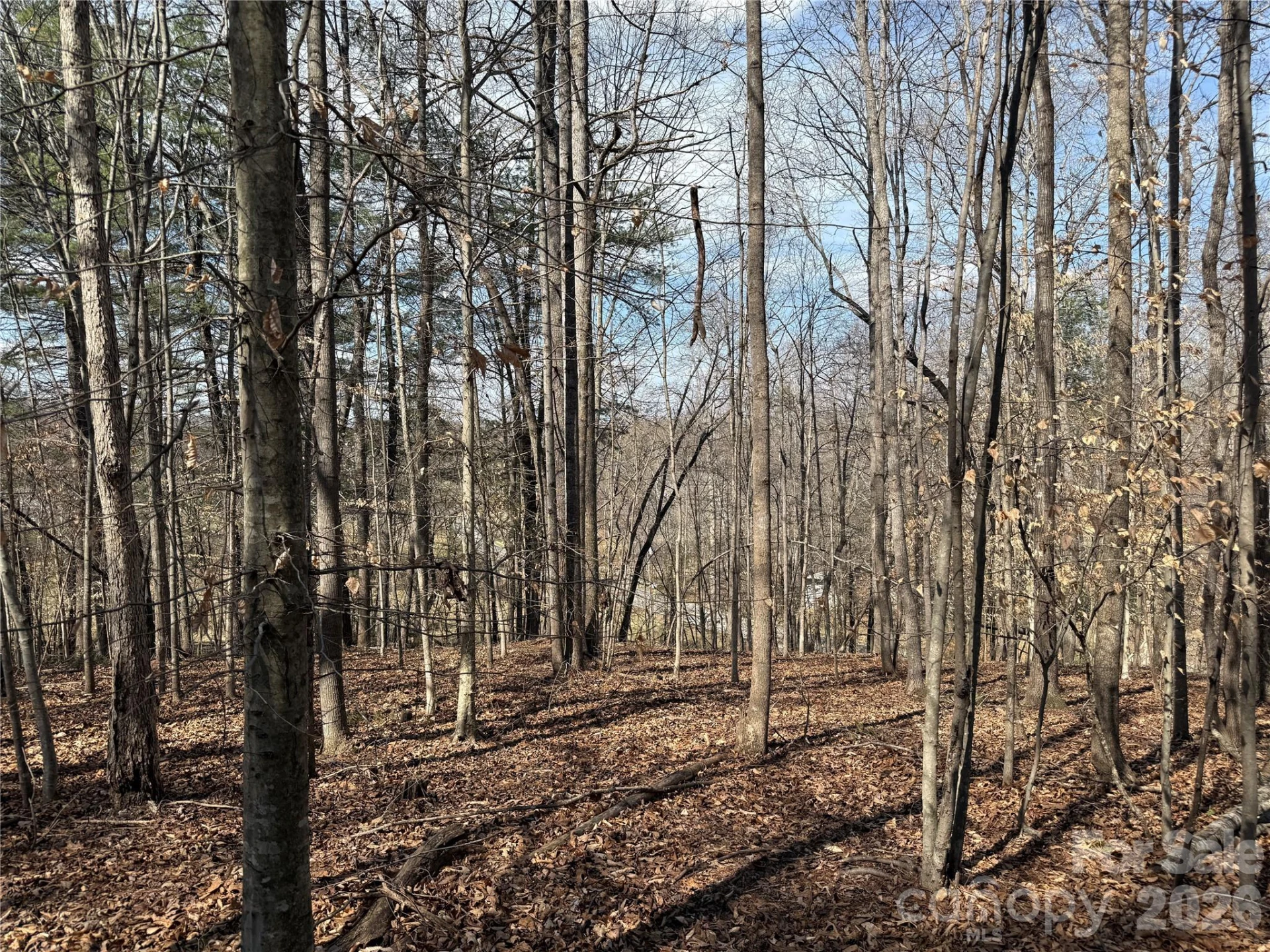 0 Conley Road - Photo 4