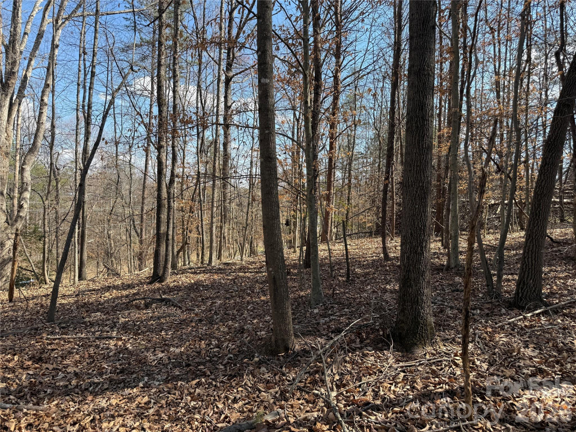 0 Conley Road - Photo 5
