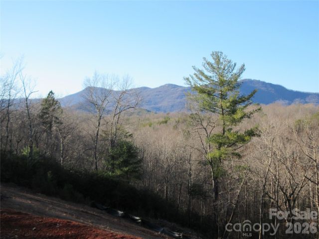 0 Levi Road, Columbus, NC, 28722