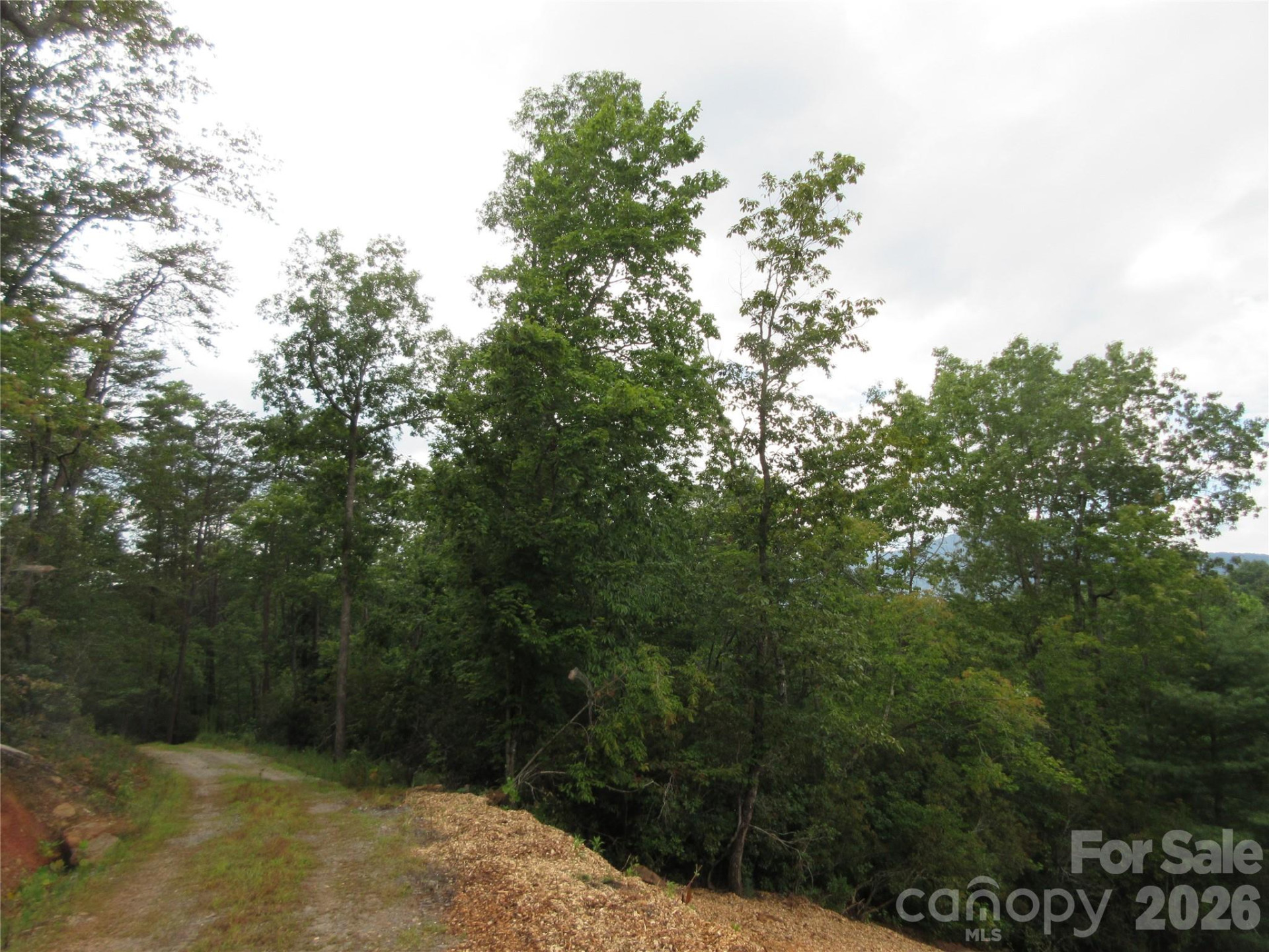 0 Levi Road - Photo 11