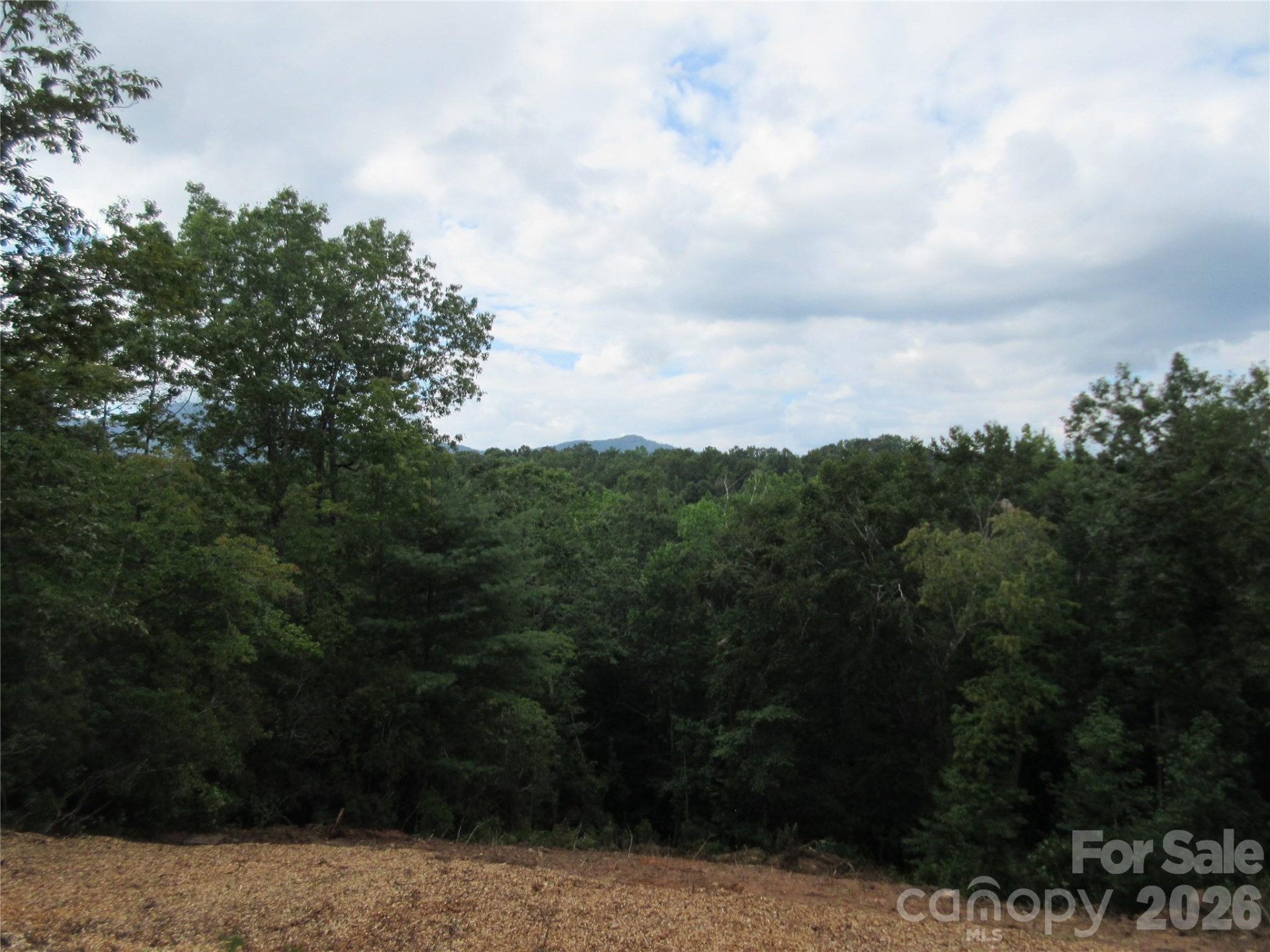 0 Levi Road - Photo 12