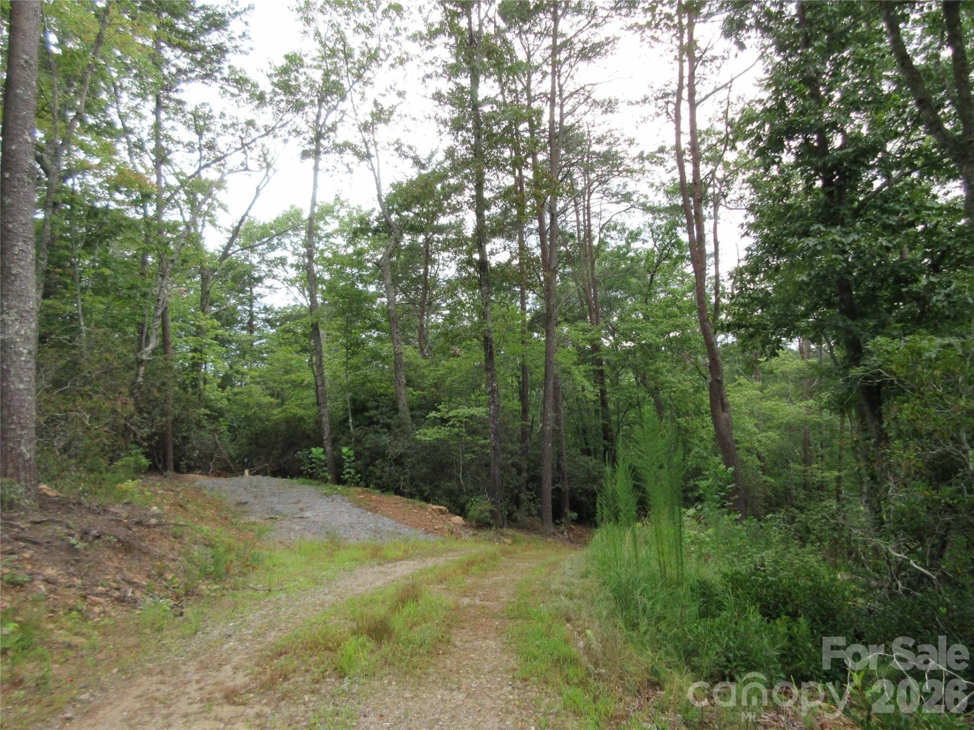 0 Levi Road - Photo 13