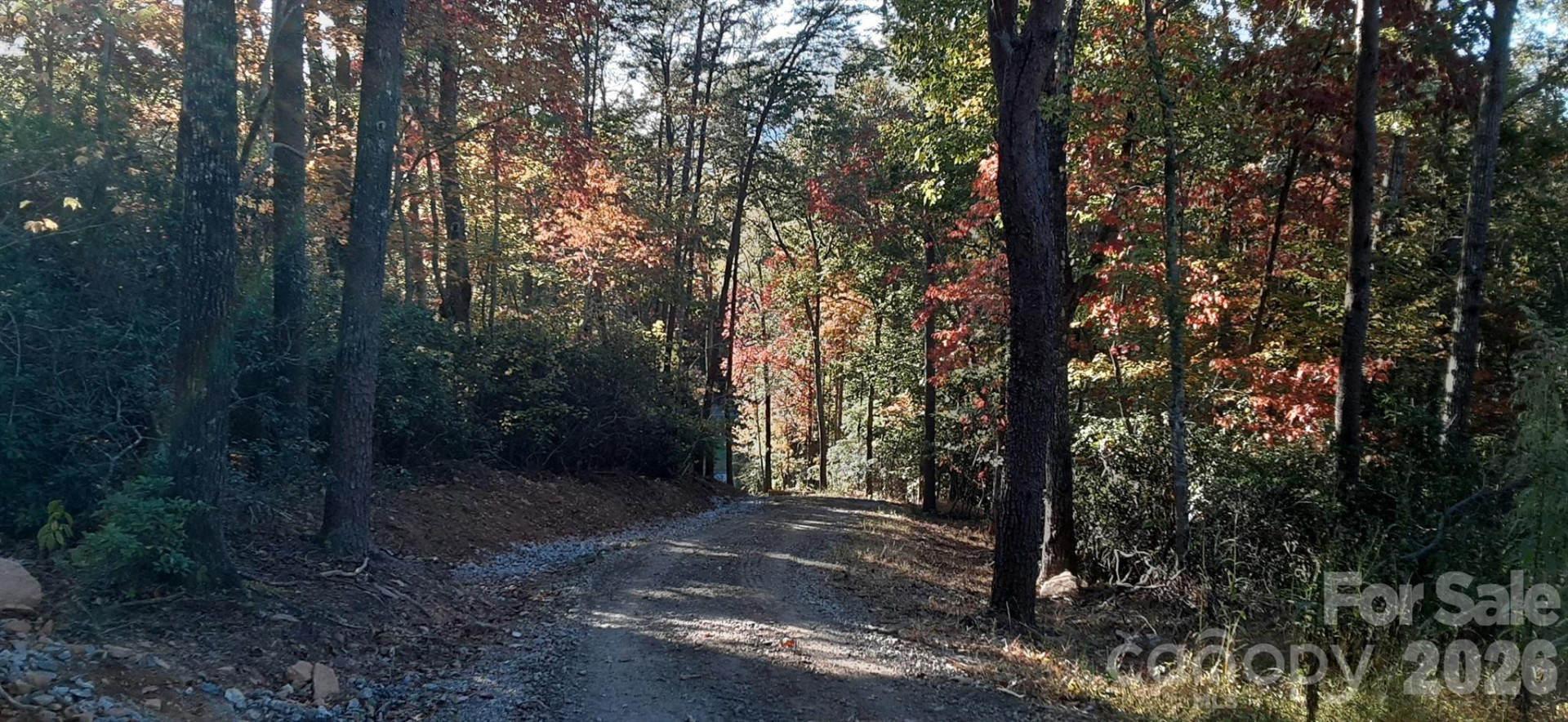 0 Levi Road - Photo 14