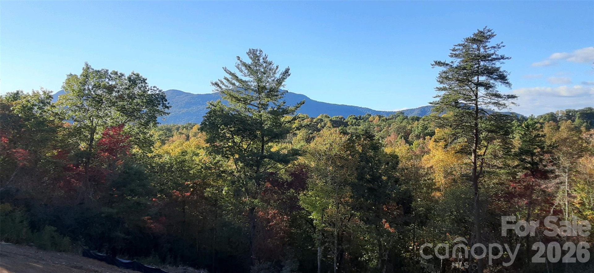 0 Levi Road - Photo 16