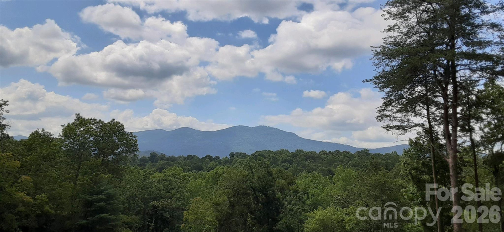 0 Levi Road - Photo 17