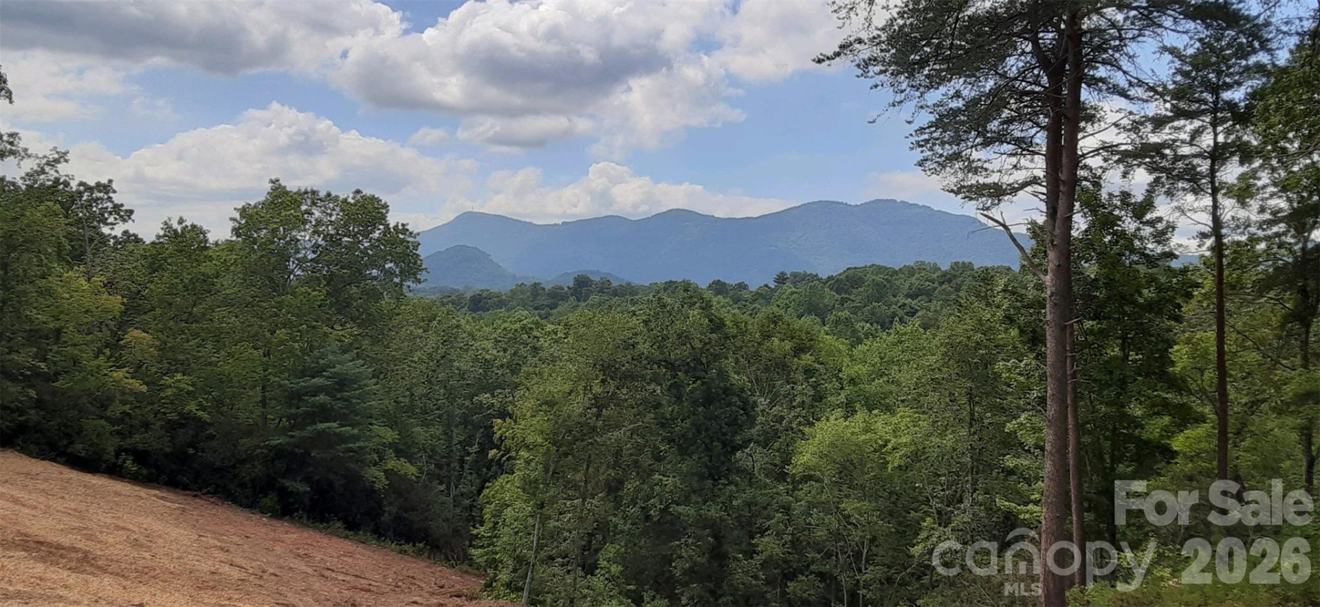 0 Levi Road - Photo 18