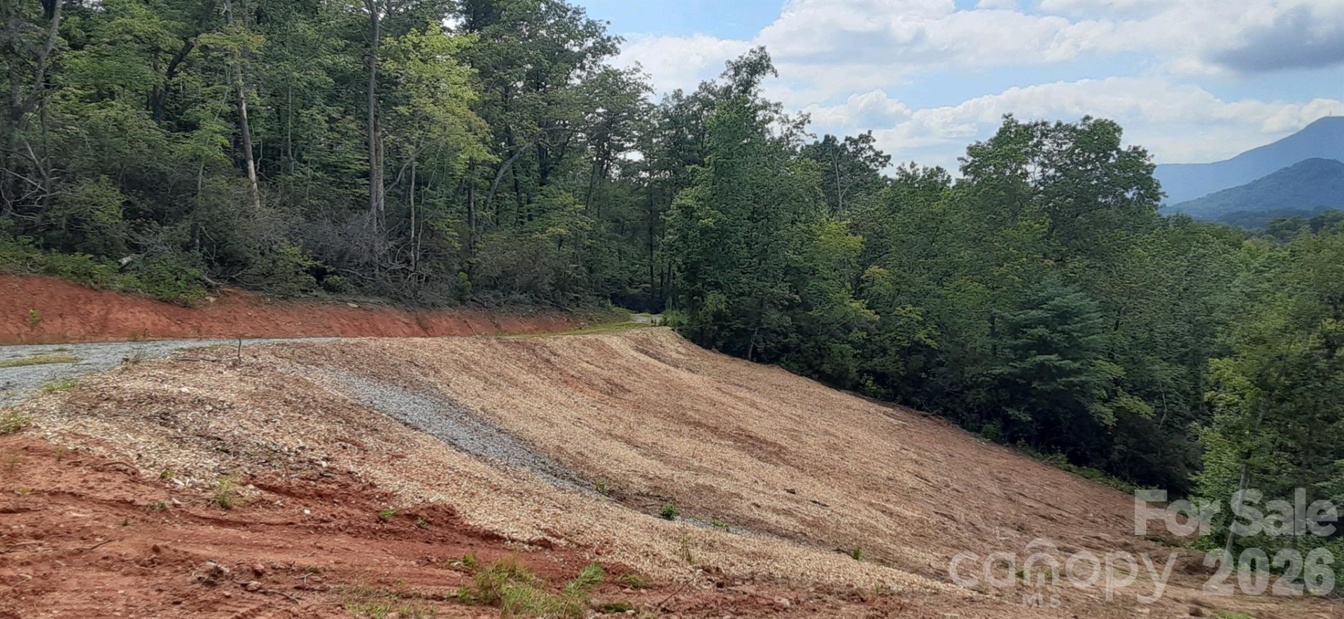 0 Levi Road - Photo 19