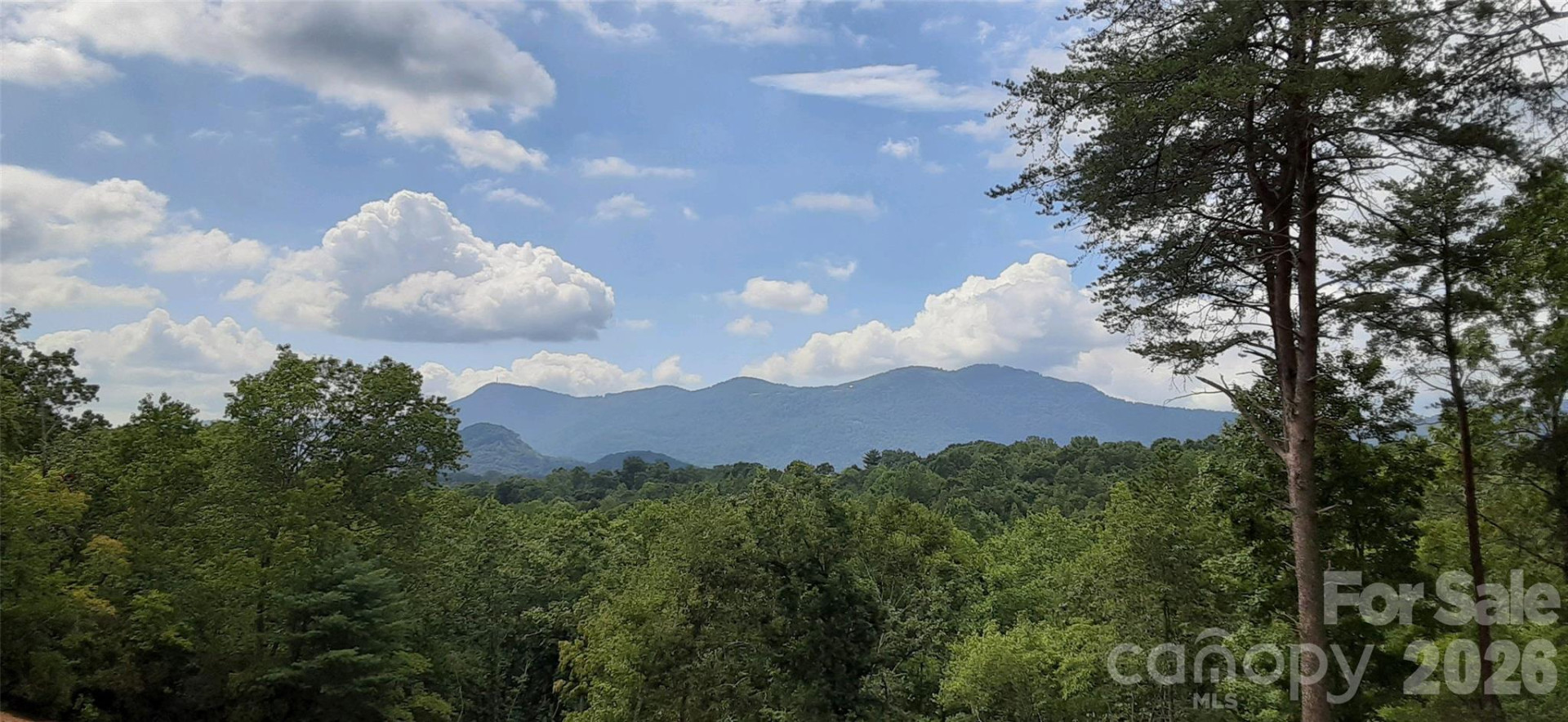 0 Levi Road - Photo 20