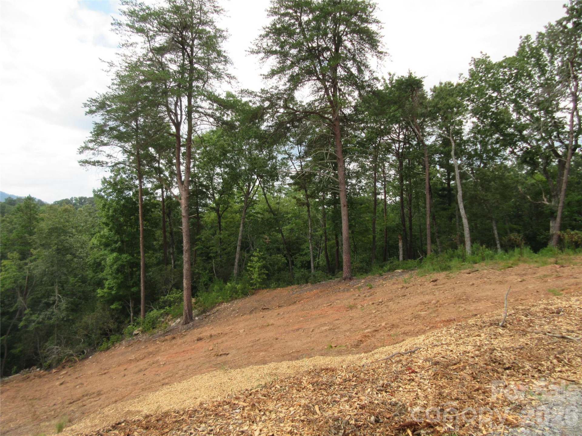 0 Levi Road - Photo 3