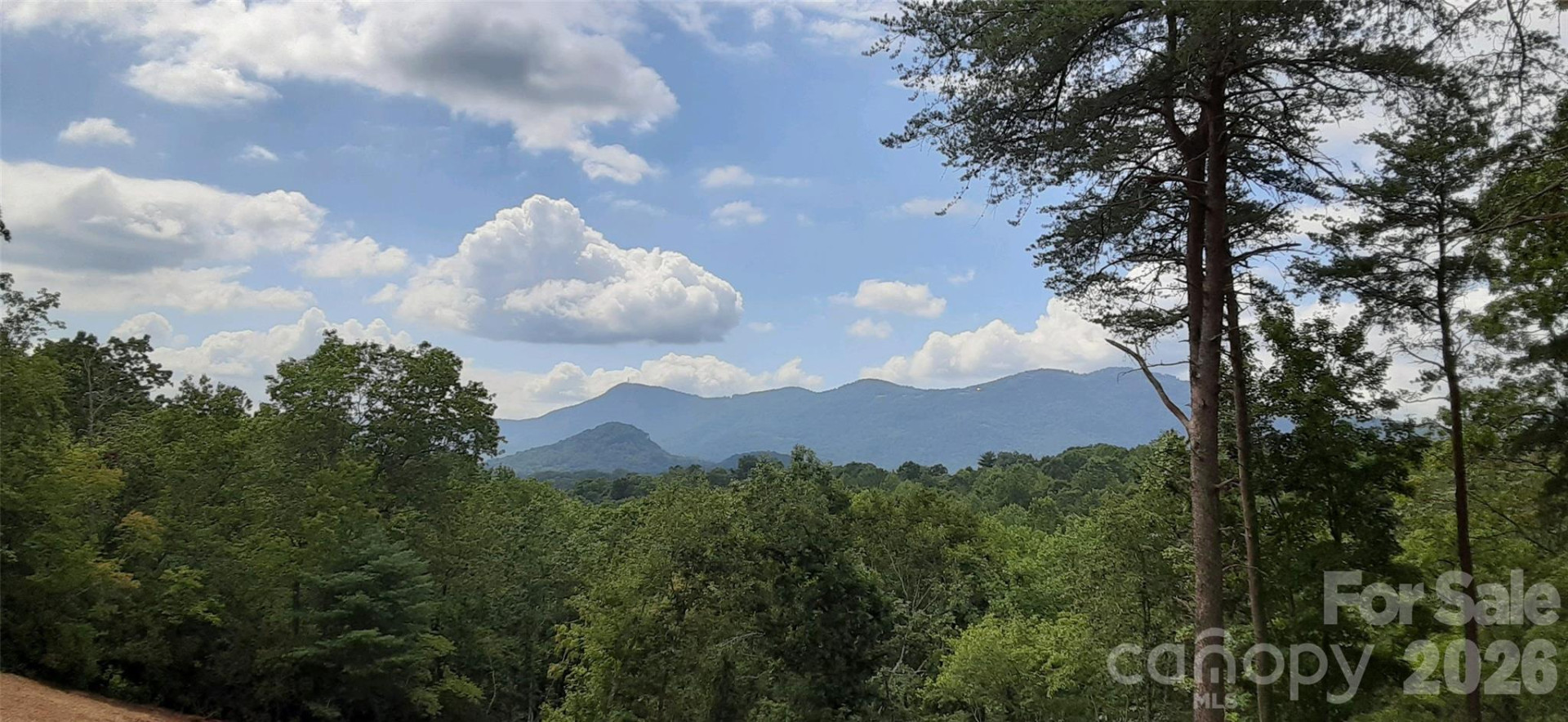 0 Levi Road - Photo 21