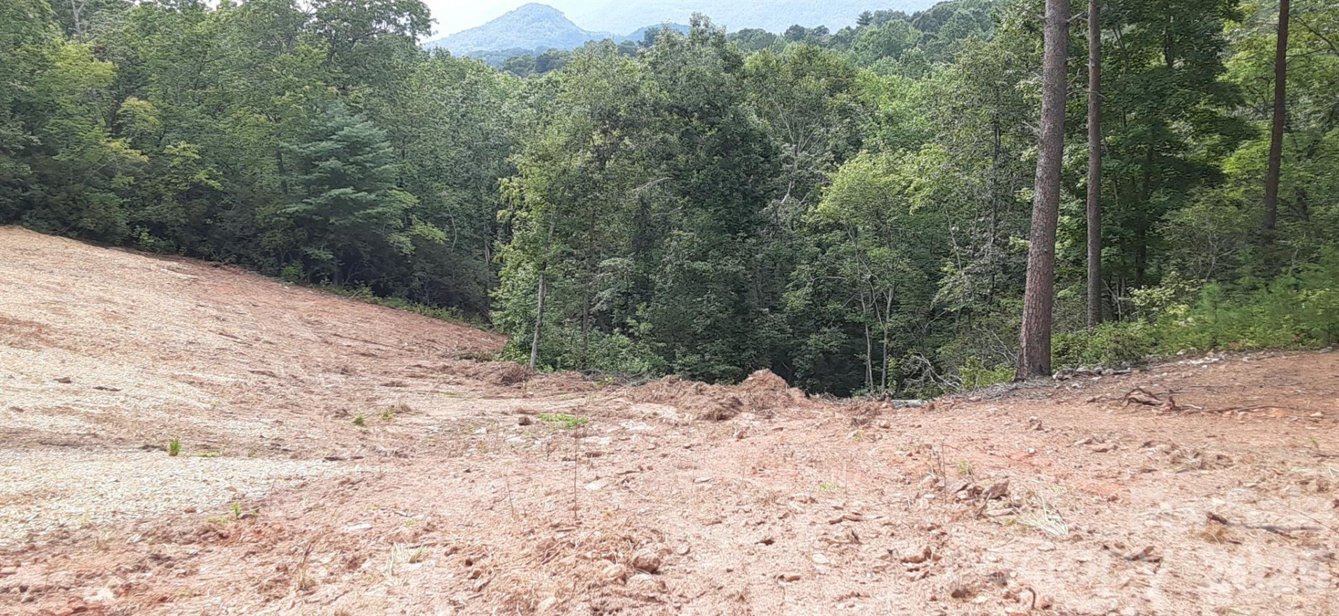 0 Levi Road - Photo 22