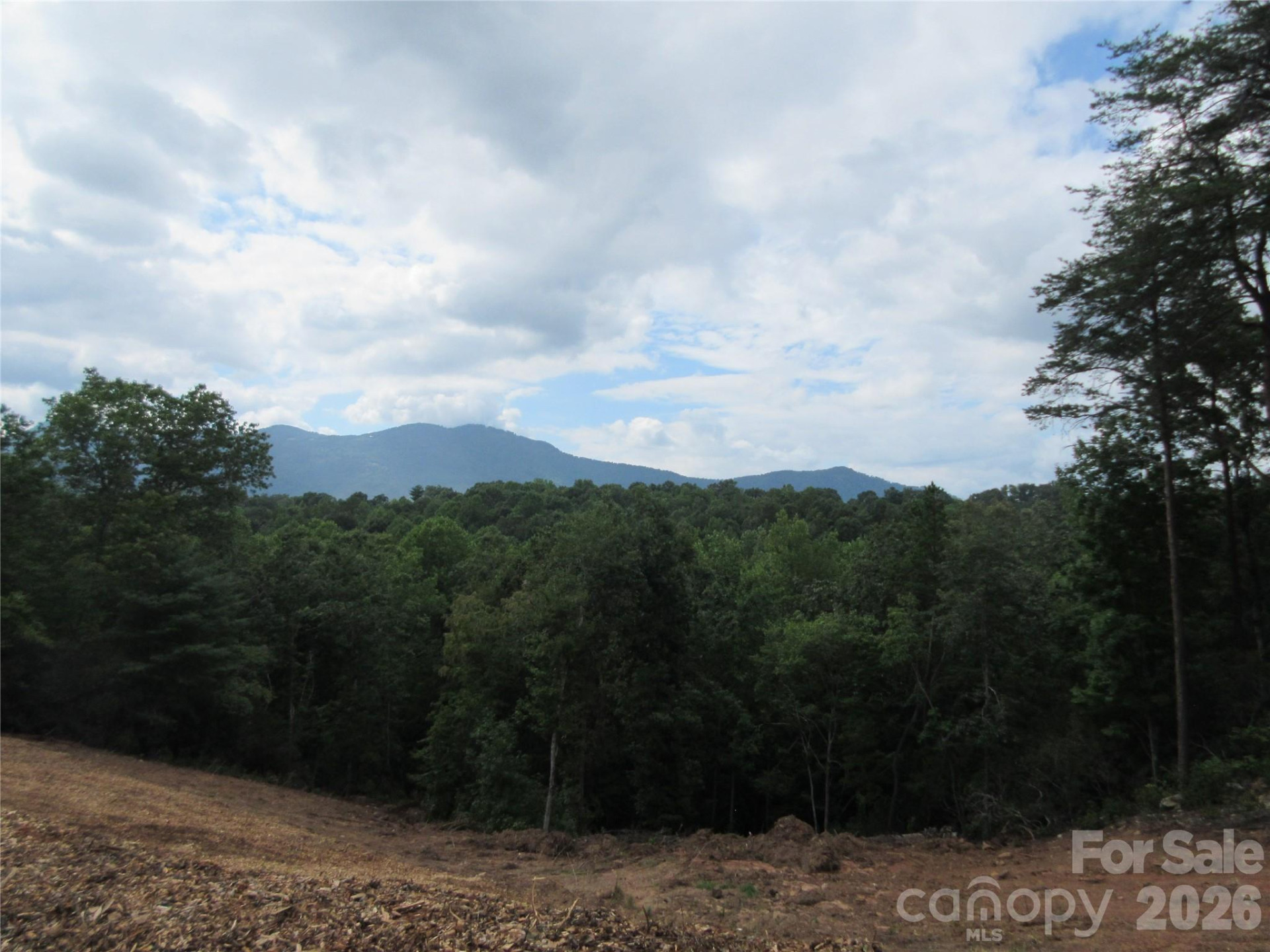 0 Levi Road - Photo 23