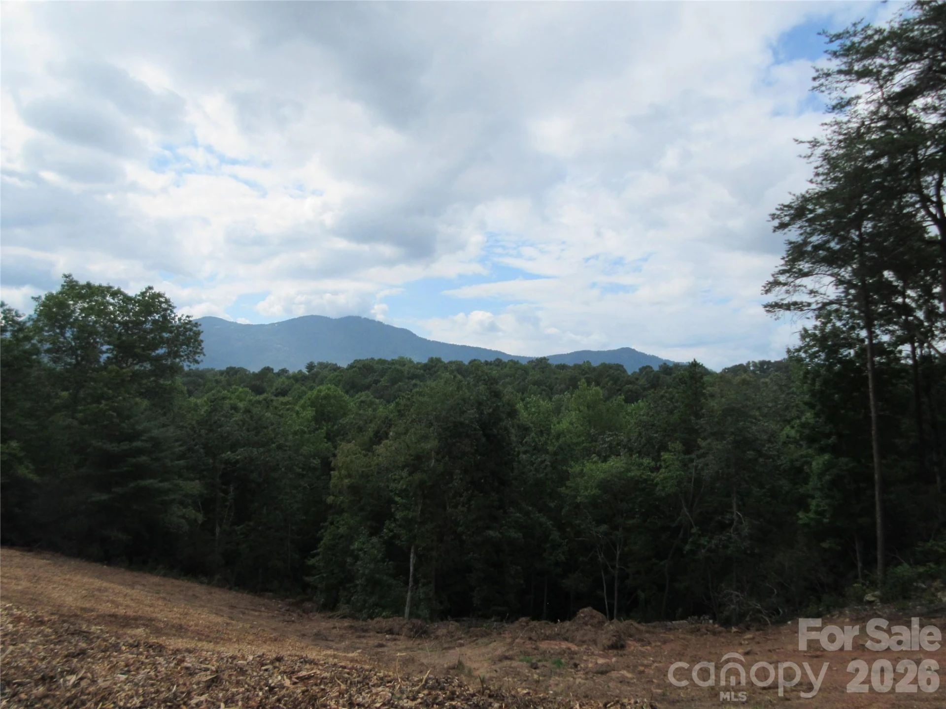 0 Levi Road - Photo 23