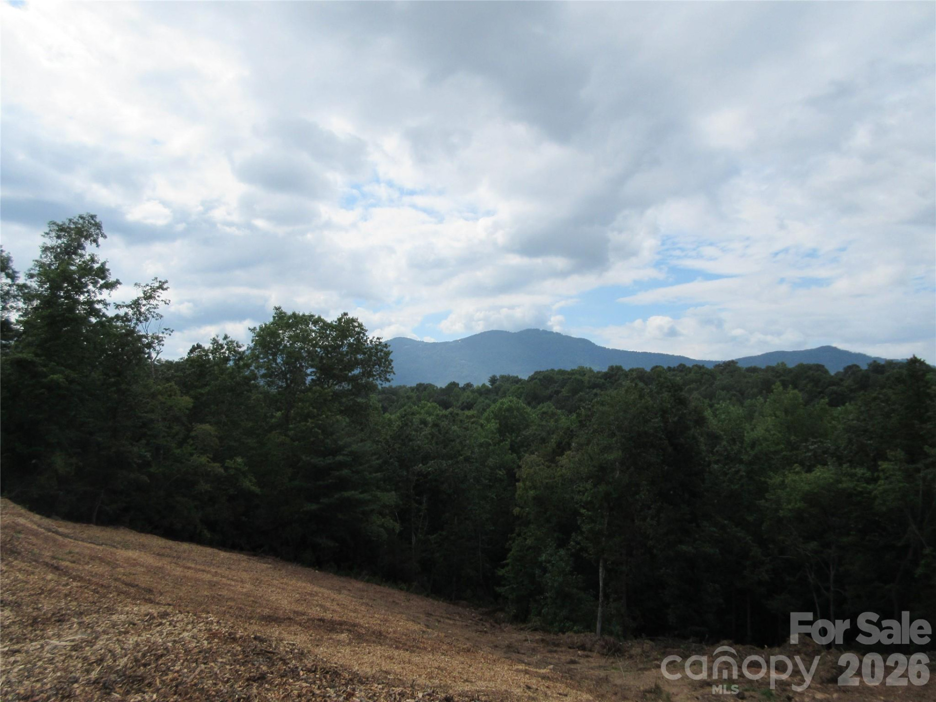 0 Levi Road - Photo 24