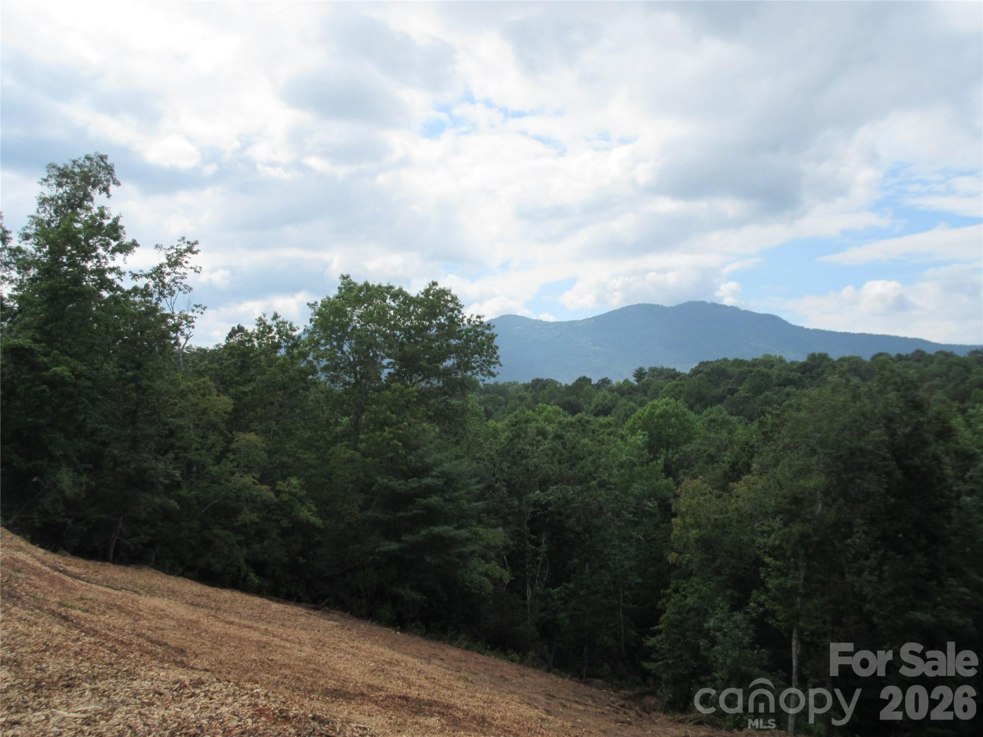 0 Levi Road - Photo 26