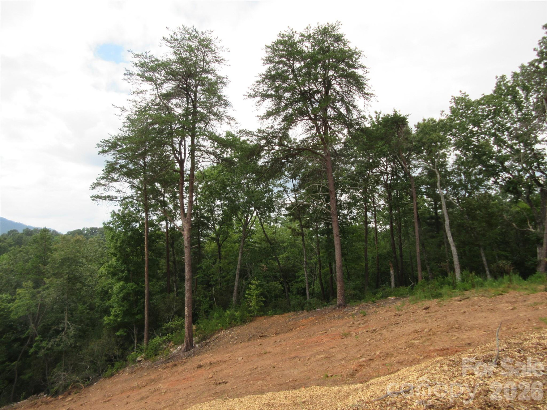 0 Levi Road - Photo 4