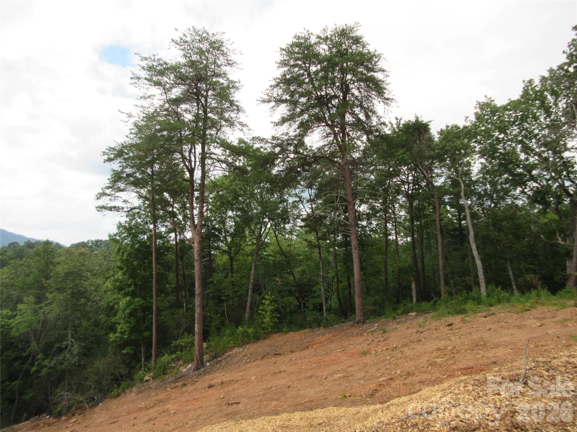 0 Levi Road - Photo 4