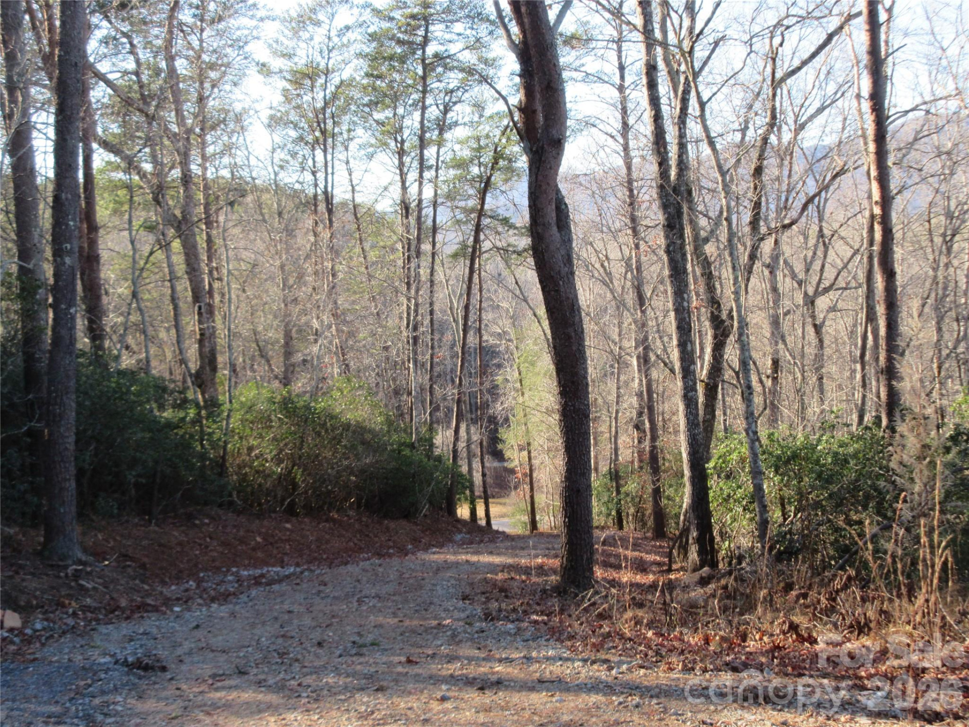 0 Levi Road - Photo 37