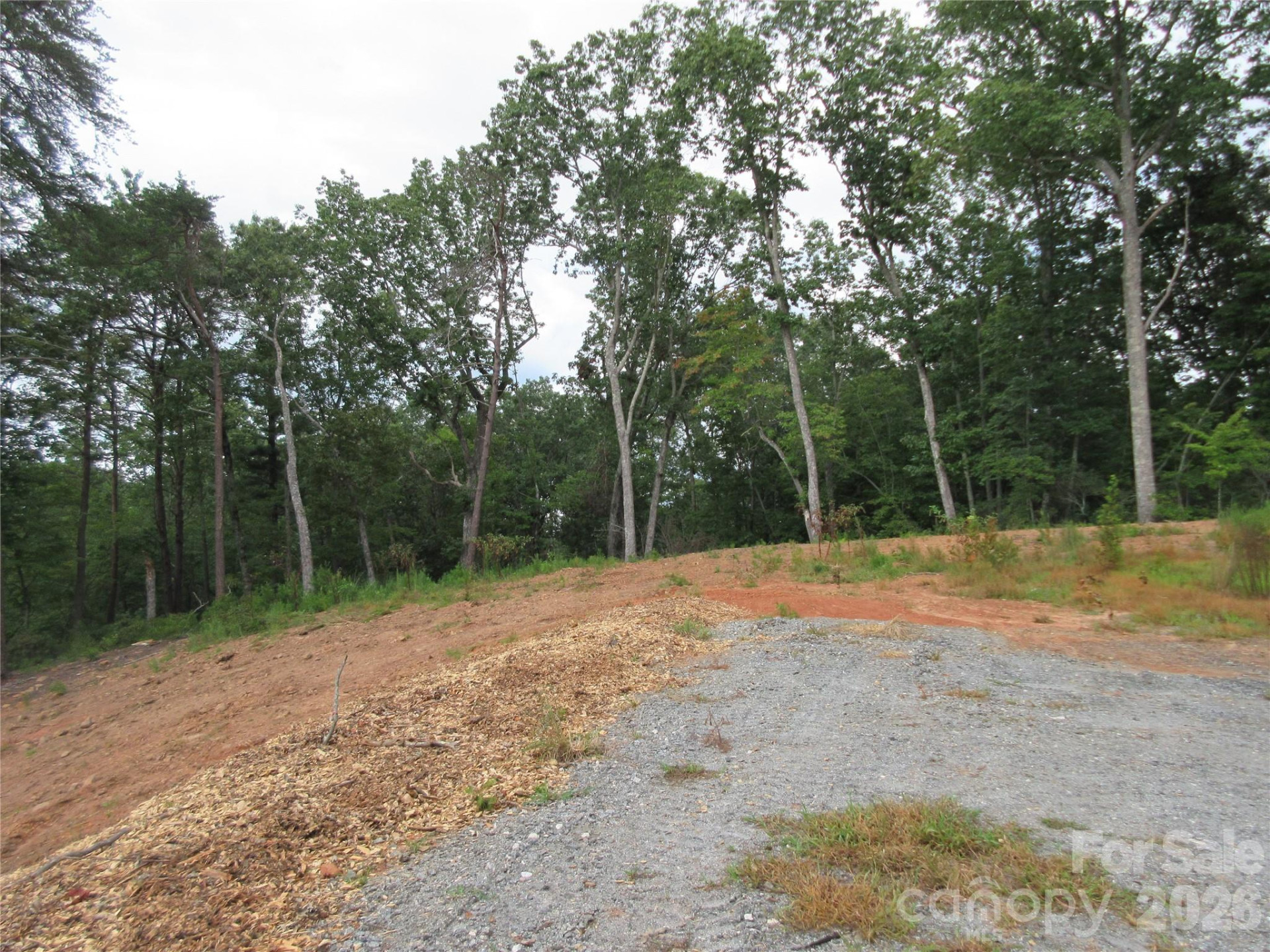 0 Levi Road - Photo 5