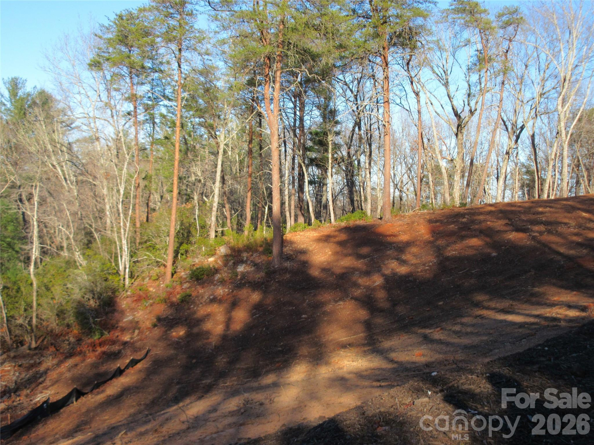 0 Levi Road - Photo 41