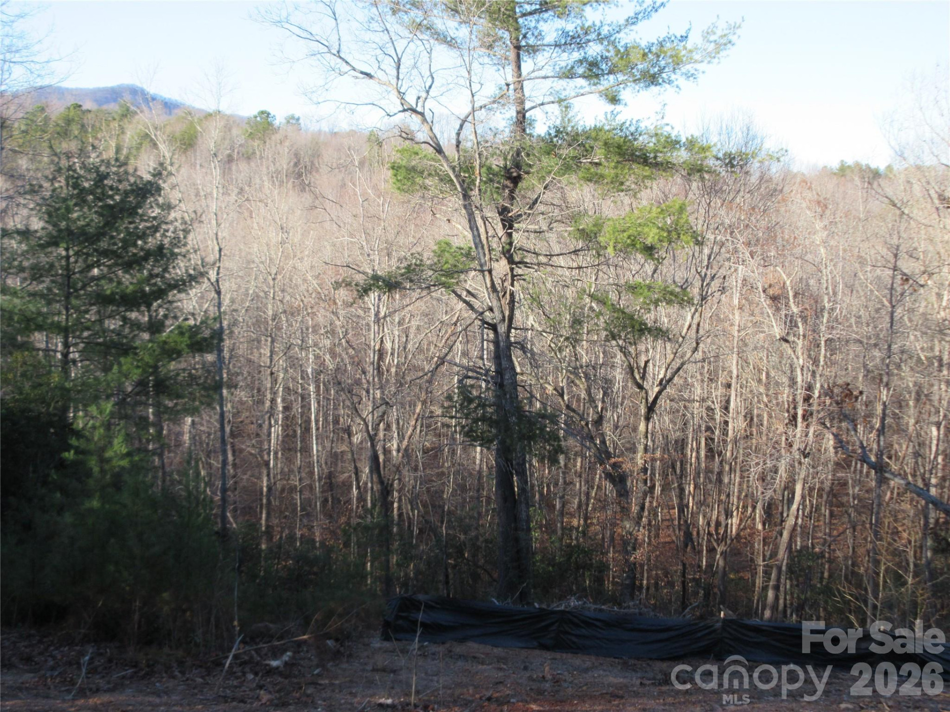 0 Levi Road - Photo 42