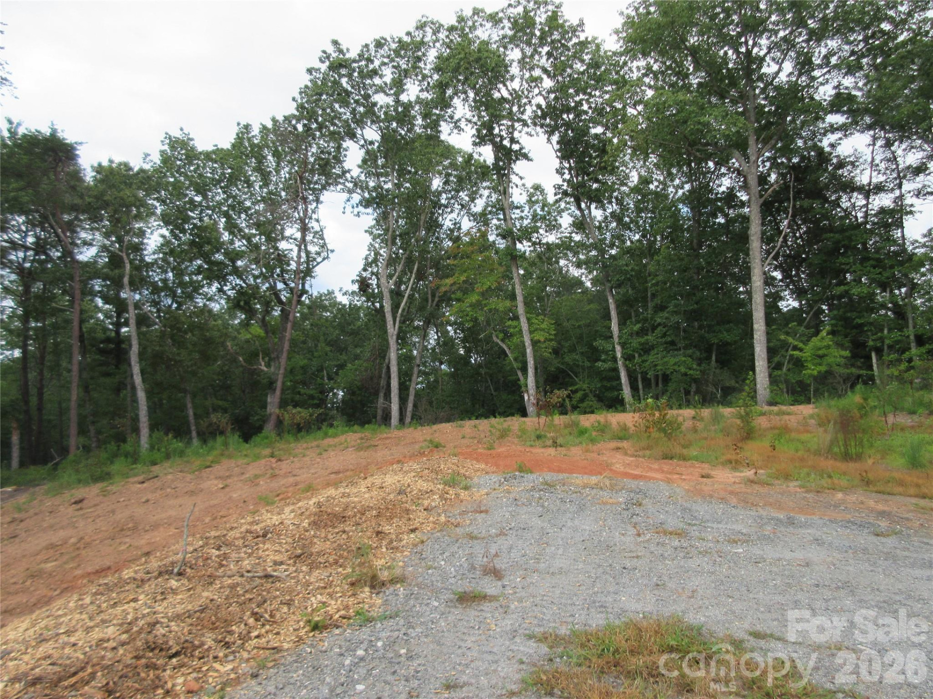 0 Levi Road - Photo 6