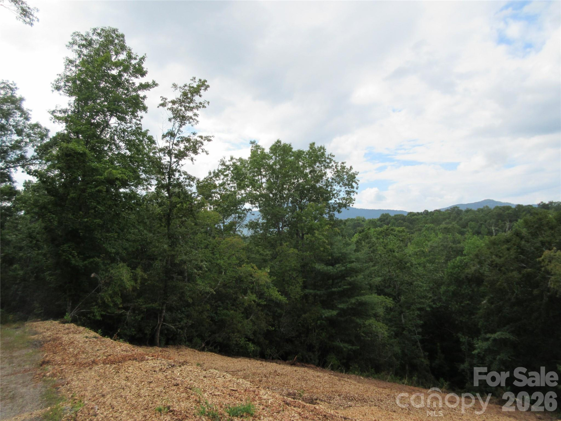 0 Levi Road - Photo 10