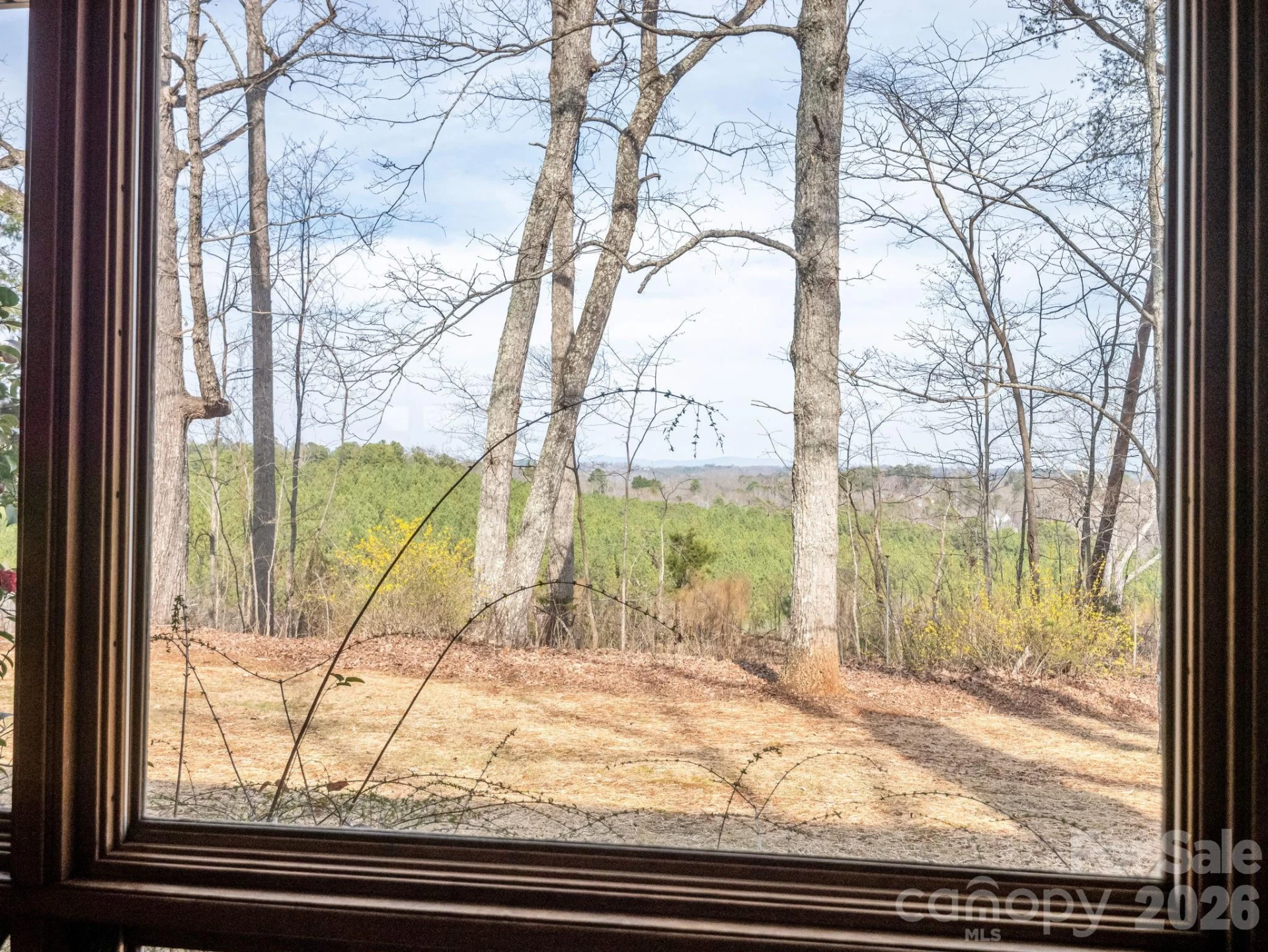 517 Union Road - Photo 13