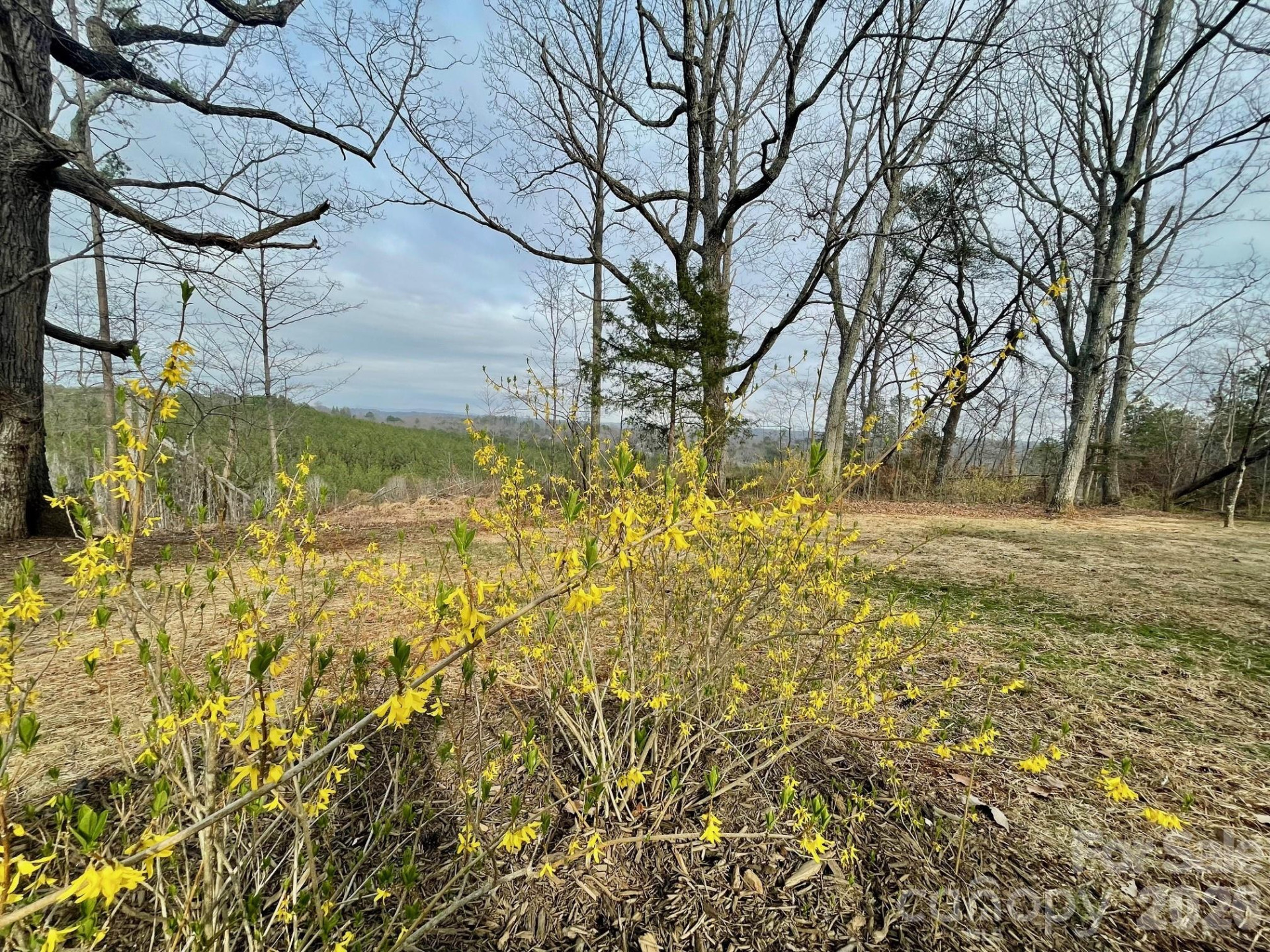 517 Union Road - Photo 34