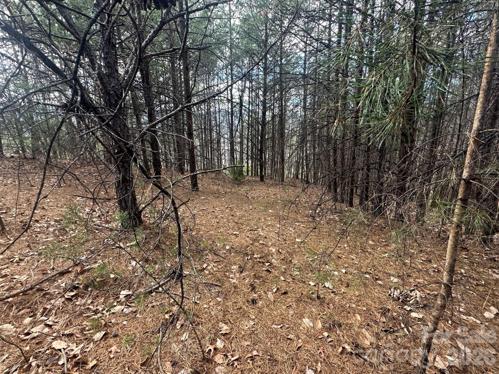 0000 Boulder Ridge - Photo 3