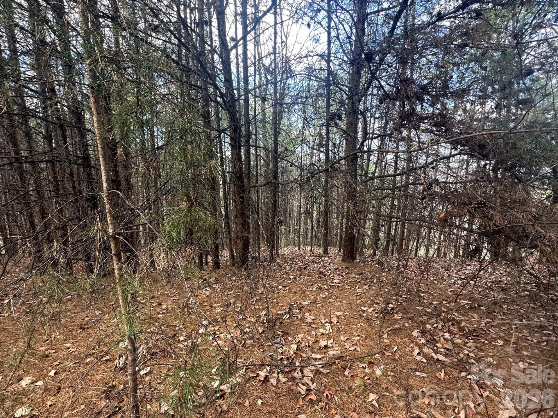 0000 Boulder Ridge - Photo 6