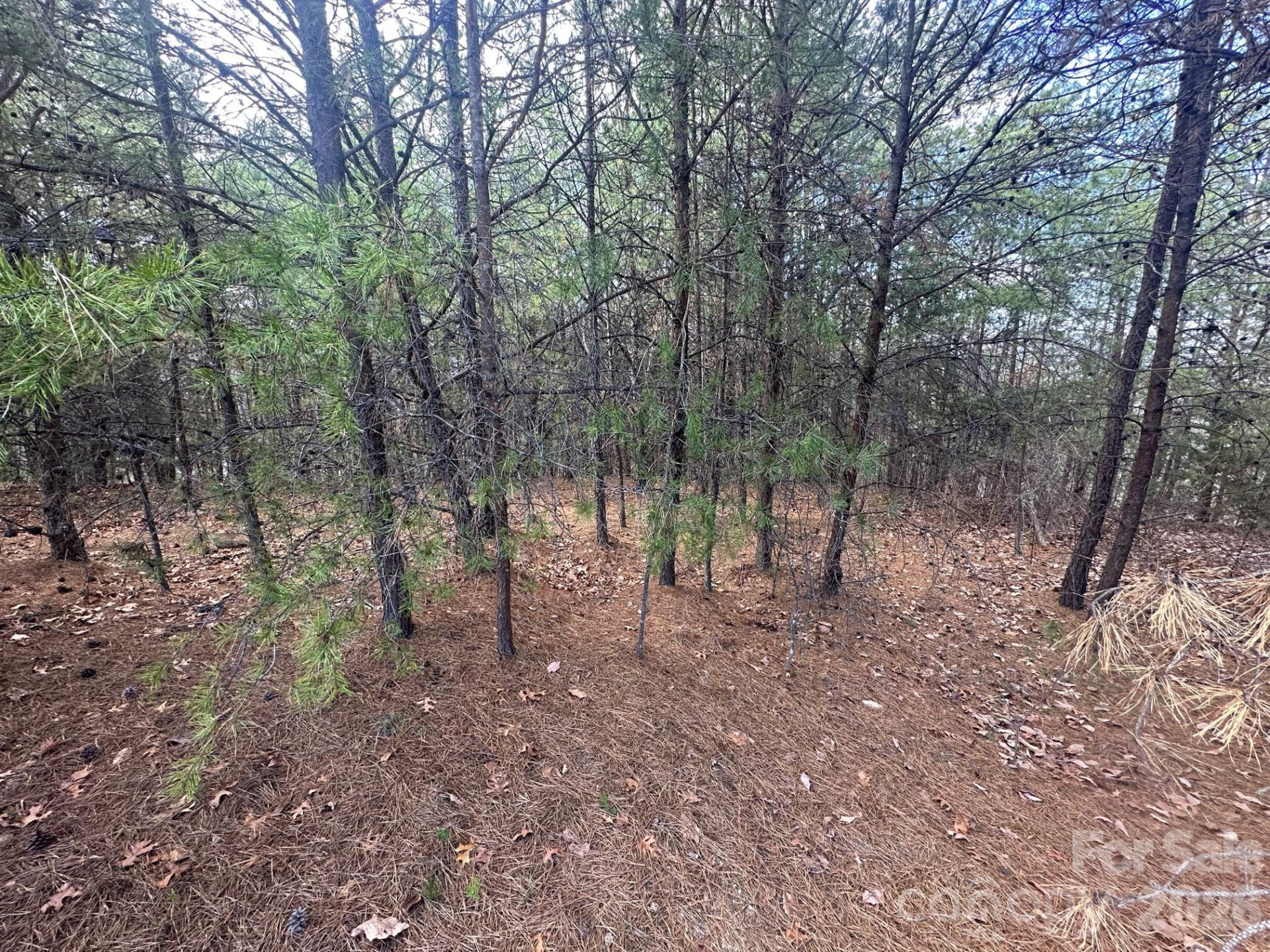 0000 Boulder Ridge - Photo 8